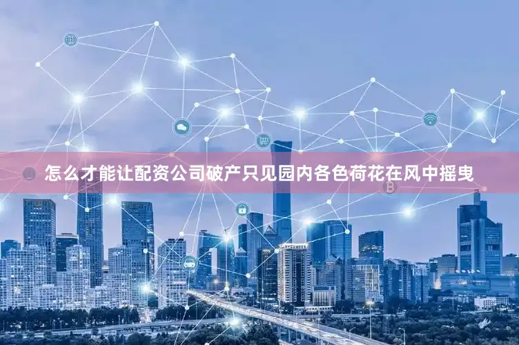怎么才能让配资公司破产只见园内各色荷花在风中摇曳