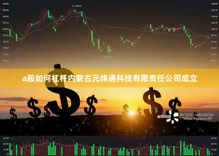 a股如何杠杆内蒙古元纬通科技有限责任公司成立