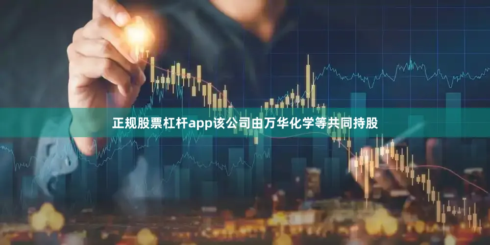 正规股票杠杆app该公司由万华化学等共同持股