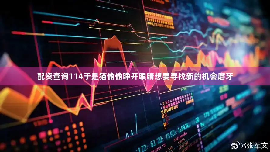 配资查询114于是猫偷偷睁开眼睛想要寻找新的机会磨牙