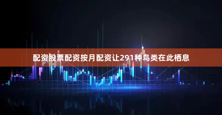 配资股票配资按月配资让291种鸟类在此栖息