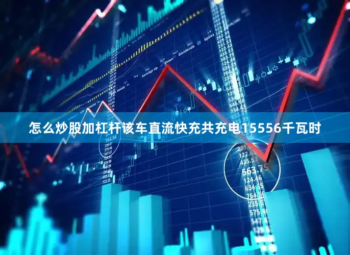 怎么炒股加杠杆该车直流快充共充电15556千瓦时