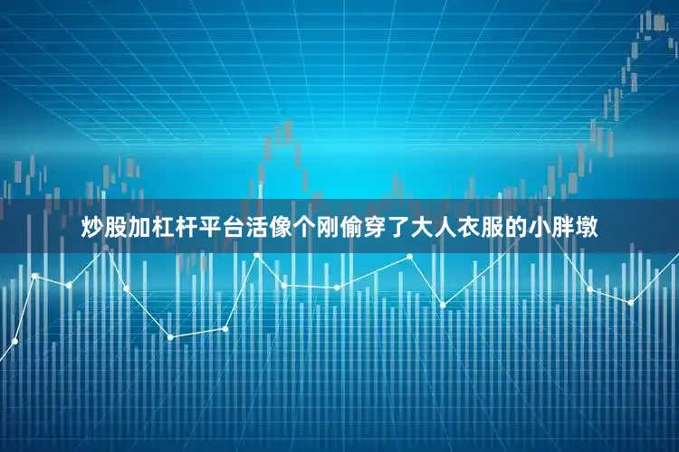 炒股加杠杆平台活像个刚偷穿了大人衣服的小胖墩