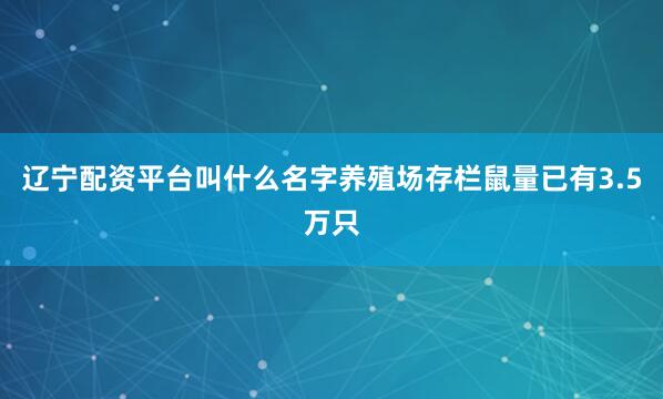 辽宁配资平台叫什么名字养殖场存栏鼠量已有3.5万只