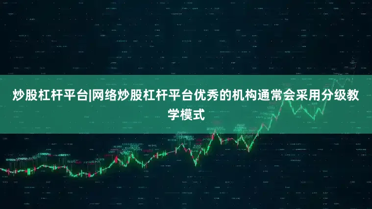 炒股杠杆平台|网络炒股杠杆平台优秀的机构通常会采用分级教学模式